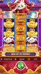 ph9 · Fortune Rabbit